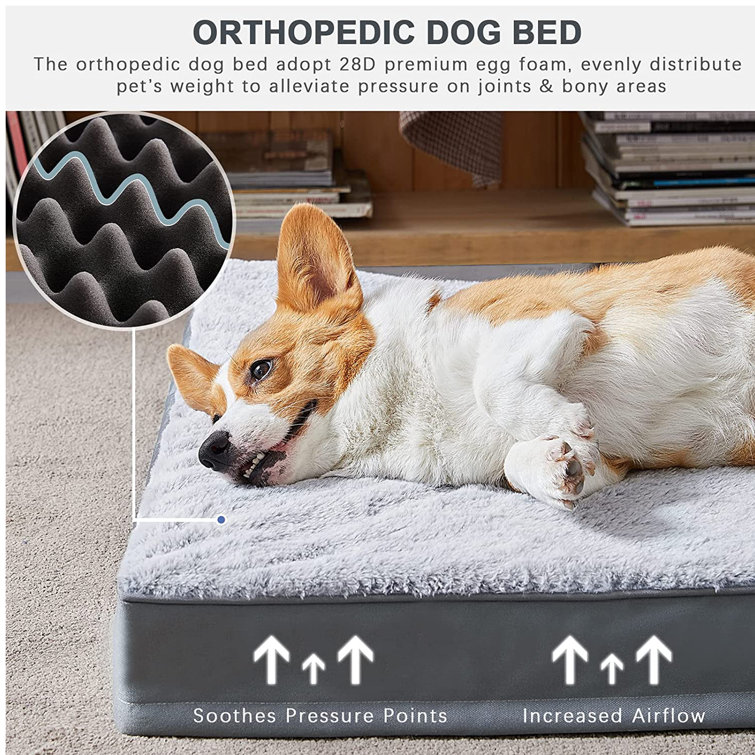 Covered dog bed on sale medium